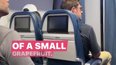 Spirit Airlines Pilot is BASED AF!