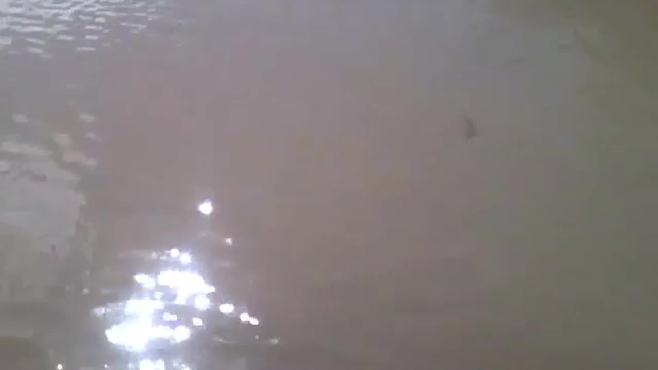 Large puddle in the middle of the street with small waves [Nature & Animals]