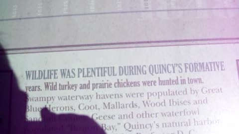 Quincy's Early Environment
