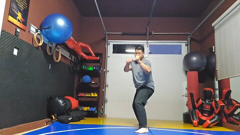 WTD 2 Step Kick Combination 171