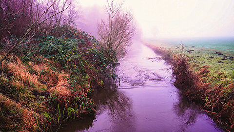 8 Minutes of Relaxing Stream Sounds: Nature’s Peaceful Flow in the Mist