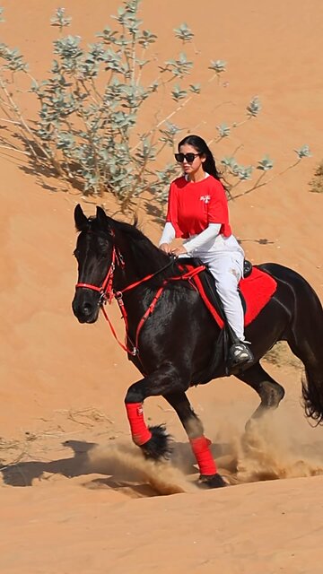 An equestrian journey built on trust, grown with patience, and connected by the soul. #horseriding