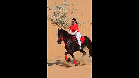An equestrian journey built on trust, grown with patience, and connected by the soul. #horseriding