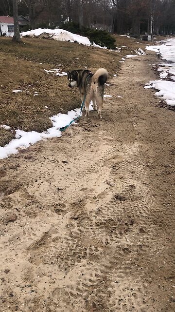 Tuesday March 18, Live in obedience to him