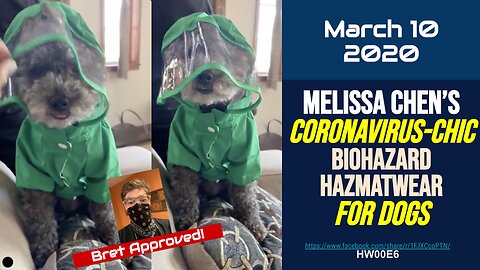 Melissa Chen ’s Coronavirus-chic biohazard Hazmatwear for dogs [Mar 10 2020] COVID CV19 china