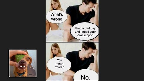 Memes That Will 99.0171% Make You Laugh. (e395)