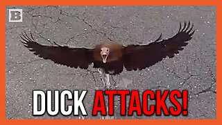 Don't Mess with Mama!