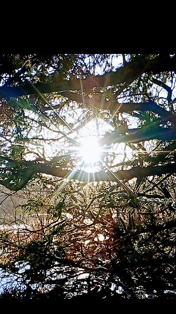 May Your Heart Be Brave for 2026