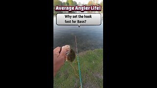 Why set the hook fast #bassfishing #fishing #flyfishing #tips