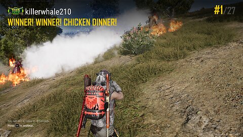 chicken dinna