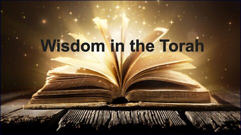 Wisdom in Torah