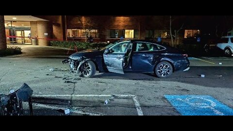 LIVE: Illegal Immigrant Gangster Rams Ice With Whore's Car, Trump Blocks Loans To illegals