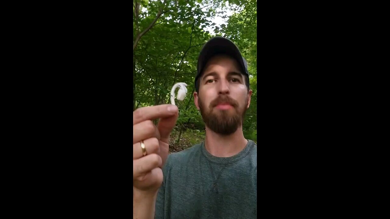 Ghost Pipe tincture (natural pain reliever)