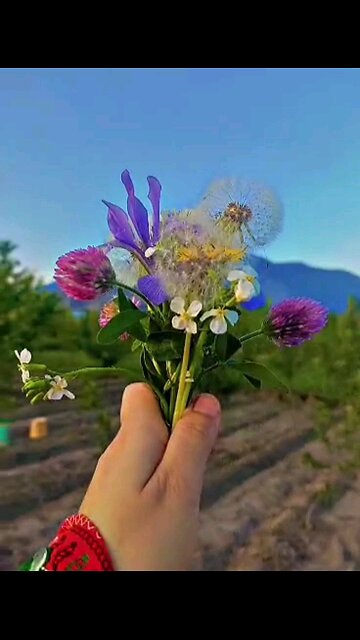 I am a wild flower ! i don't need care to grow