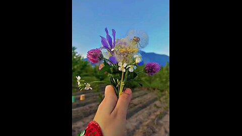I am a wild flower ! i don't need care to grow