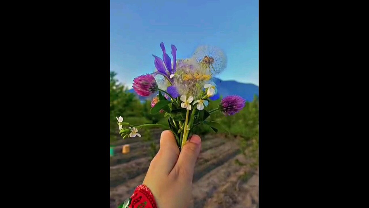 I am a wild flower ! i don't need care to grow
