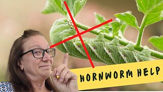Finally a Way to Fight Hornworms