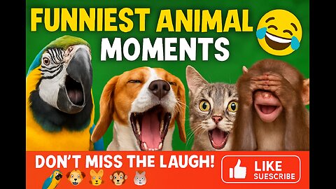 Funniest Animal Videos Ever (Part 1)😅👌