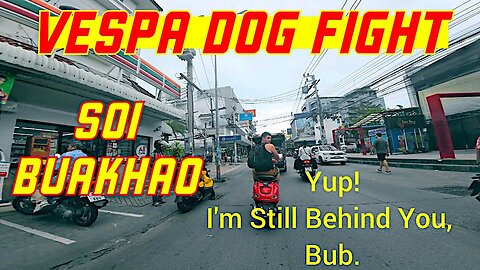 Ray Roams | Vespa Dog Fight | Soi Buakhao | Pattaya | Thailand 🇹🇭