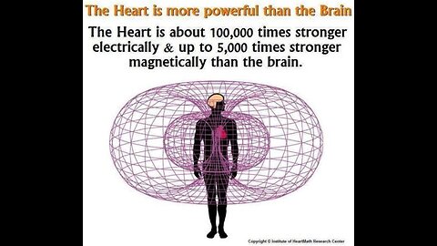 🜂 THE COSMIC HEART