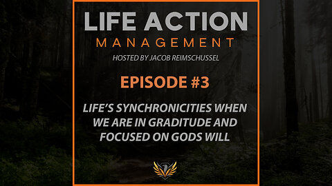 #3 Life's synchronicities when we are in gratitude and focused on gods will