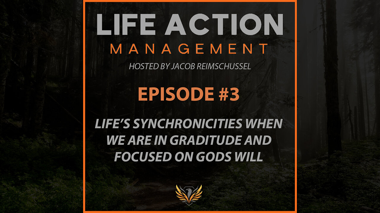 #3 Life's synchronicities when we are in gratitude and focused on gods will