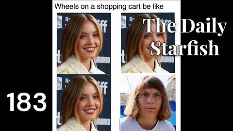 The Daily Starfish #183 #news #2025 #uk #memes