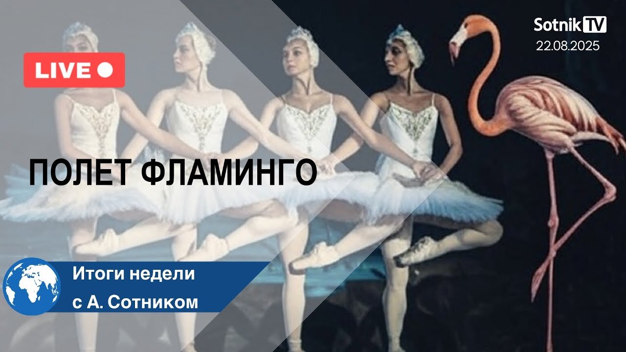 ПОЛЕТ ФЛАМИНГО Итоги недели с А. Сотником