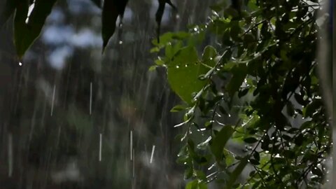 Relaxing rain sound