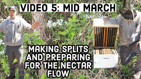 Making Splits And Preparing For The Nectar Flow - Video 5 - Mid March