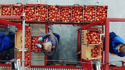 Welcome to the channel - The issue of food waste