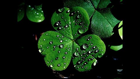 N.D. DEFENSE W/PICK 6 ☘️☘️☘️