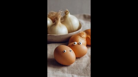 enjoy onions and eggs relaxing in the kitchen talking about their colours and some birds.