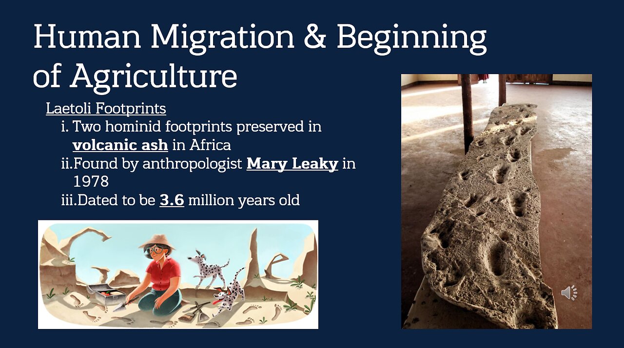 World History: The Earliest Humans Lesson