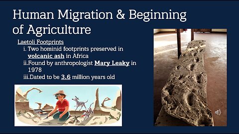World History: The Earliest Humans Lesson