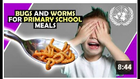 "Primary Schools to Incorporate Insects into Student Diets, Scientists Plan"