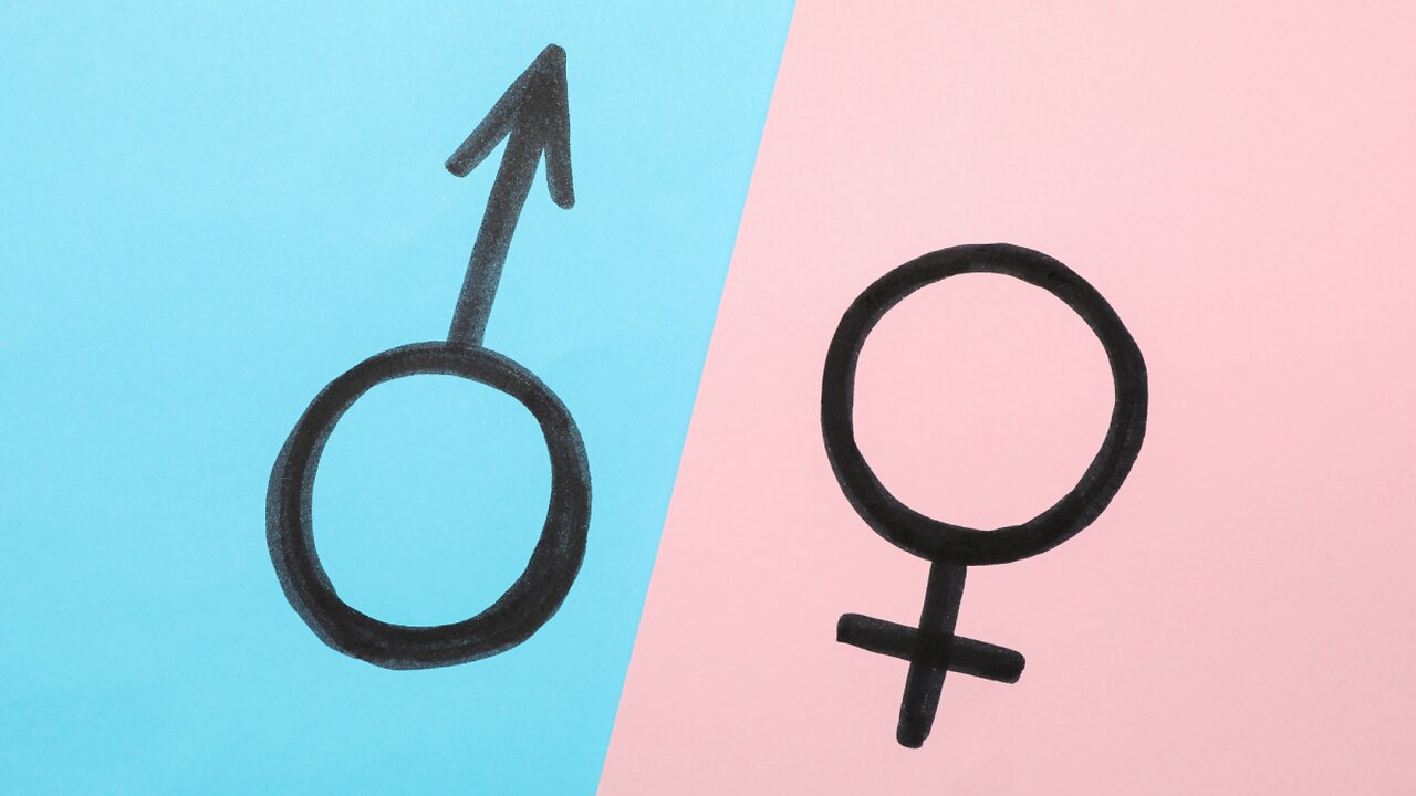 🎭 The difference between men and women