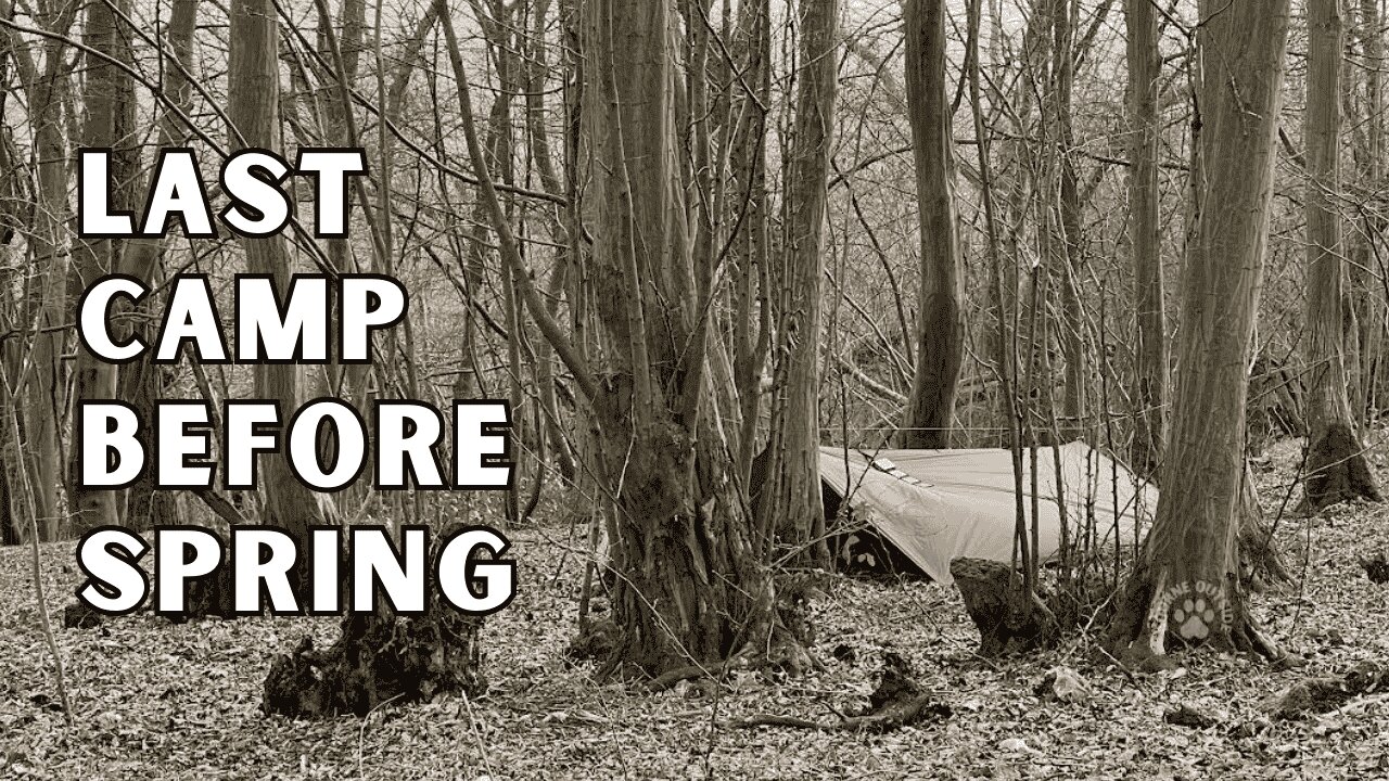 A Cosy Shelter Setup On Camp