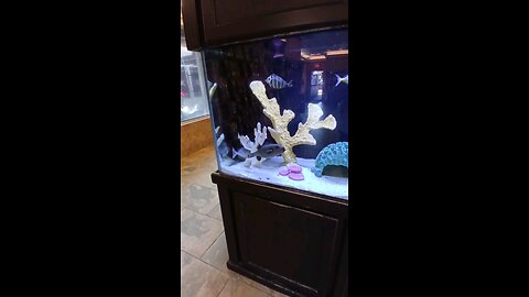 Jax Car Wash Maywood NJ