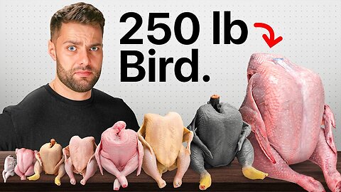 I Cooked Every EXOTIC Bird chicken 🍗
