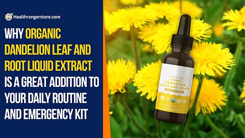 Why Organic Dandelion Leaf and Root Liquid Extract is a great addition to your daily routine and emergency kit