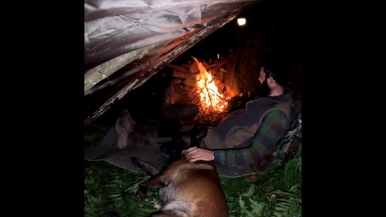 Overnight survival and wilderness cooking in the forest