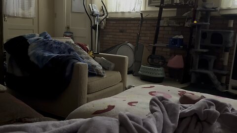 the joys i have playing with my cat