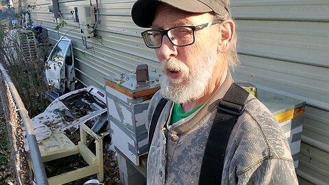 🐝Feedin DA BEEs 2🐝👍