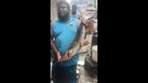 big Fish