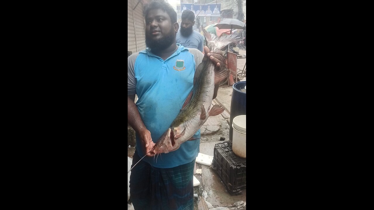 big Fish