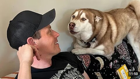 When You Live With a Dog Speaking English Better Than Hooman 😲