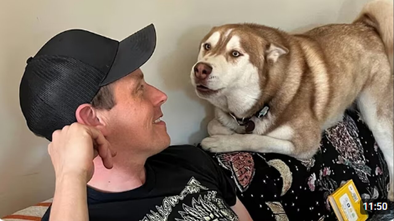 When You Live With a Dog Speaking English Better Than Hooman 😲