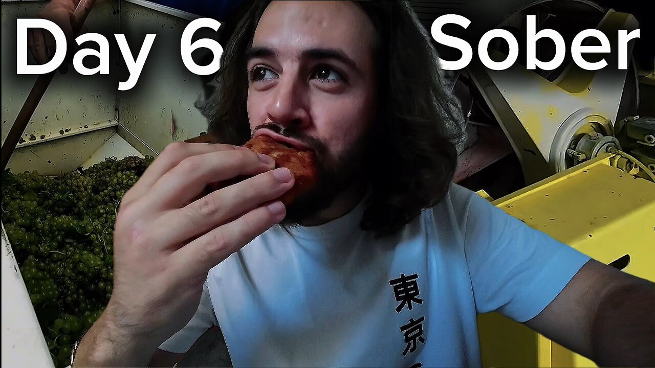 Day 6 Sober Making Wine & Fried Chicken for Breakfast