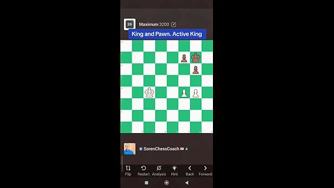 King and Pawn. Active King